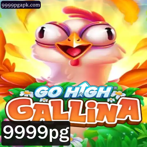Tudo sobre GoHighGallina: Um Novo Jogo Fascinante